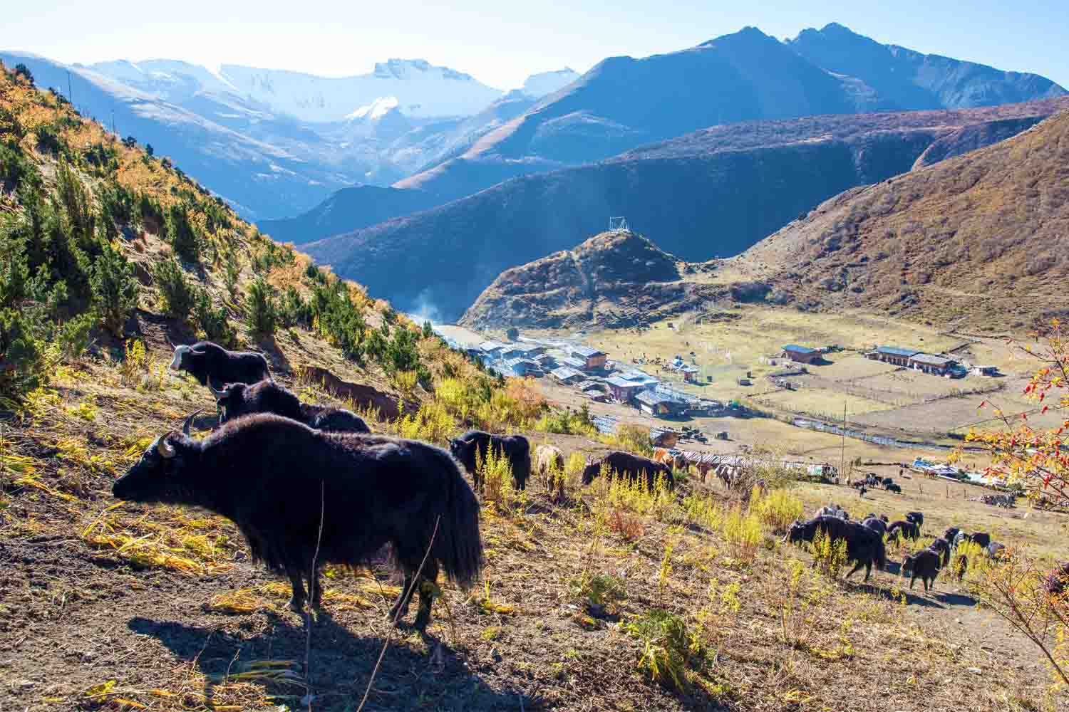 Lunana Bhutan Highland 